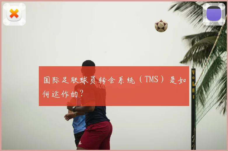 国际足联球员转会系统（TMS）是如何运作的？
